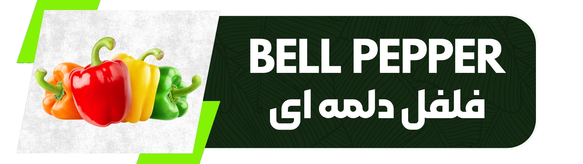 Bell-peaper